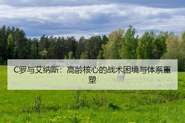 C罗与艾纳斯：高龄核心的战术困境与体系重塑