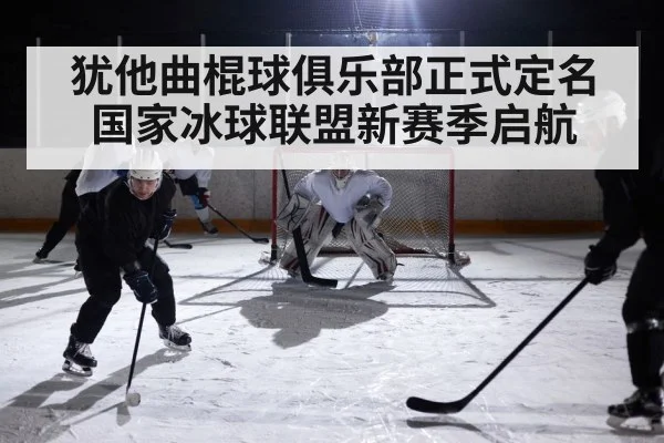 犹他曲棍球俱乐部正式定名国家冰球联盟新赛季启航