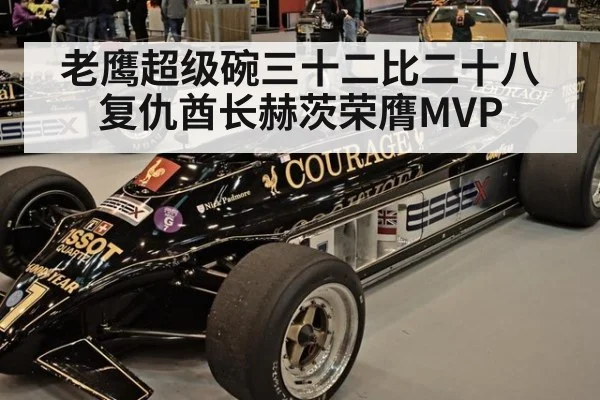 老鹰超级碗三十二比二十八复仇酋长赫茨荣膺MVP